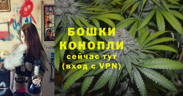 ECSTASY Вяземский
