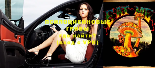 ECSTASY Вяземский