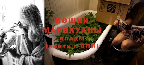 ECSTASY Вяземский