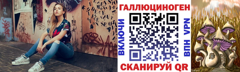 купить наркотики цена  Черноголовка  Псилоцибиновые грибы Psilocybe 